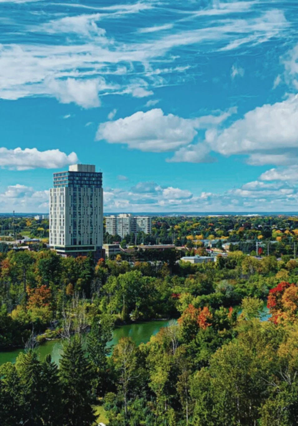 live in brampton