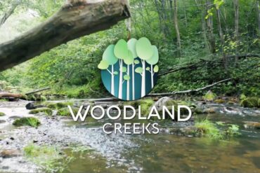 woodland creeks briarwood Angus, ON detached home