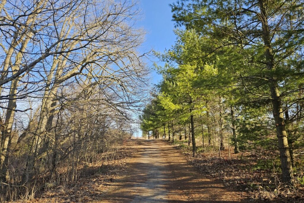 Condo Tower Samuel Nature Area