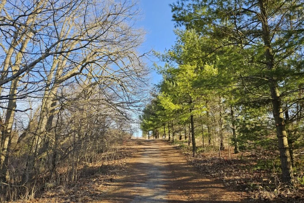 Condo Tower Samuel Nature Area