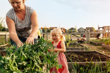 Chappelle Gardens Community Garden[1]