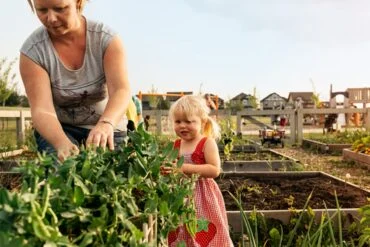Chappelle Gardens Community Garden[1]