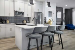 Chinook Gate Duplex Home Kitchen[1]