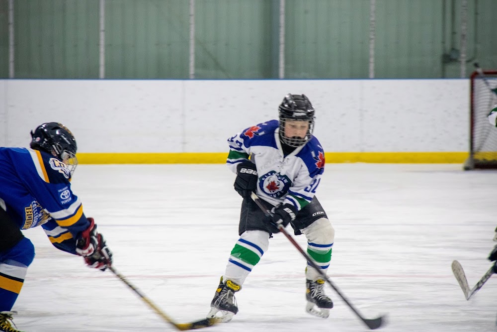 Stayner Arena cfe5bdd9c19fb6e98449a1c8858ed5b1