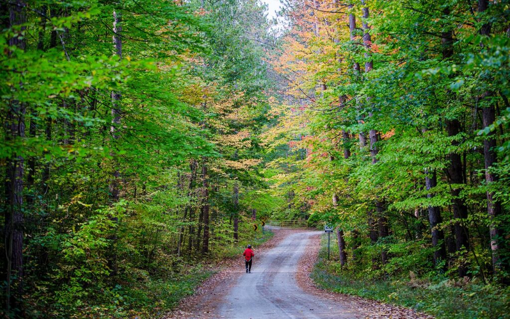 midhurst valley walking trail