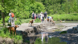 Greenwood Conservation Area dog park photo by NutriCanine fresh dog food 480x480