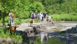 Greenwood Conservation Area dog park photo by NutriCanine fresh dog food 480x480