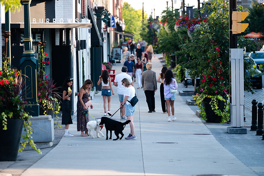 Carding House mattamy homes community