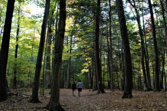Ellia at Unity Forest Image
