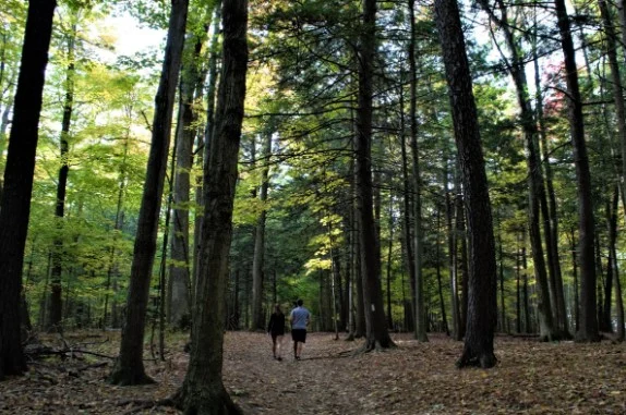 Ellia at Unity Forest Image
