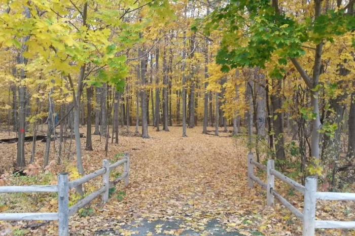 Brimley Woods Park