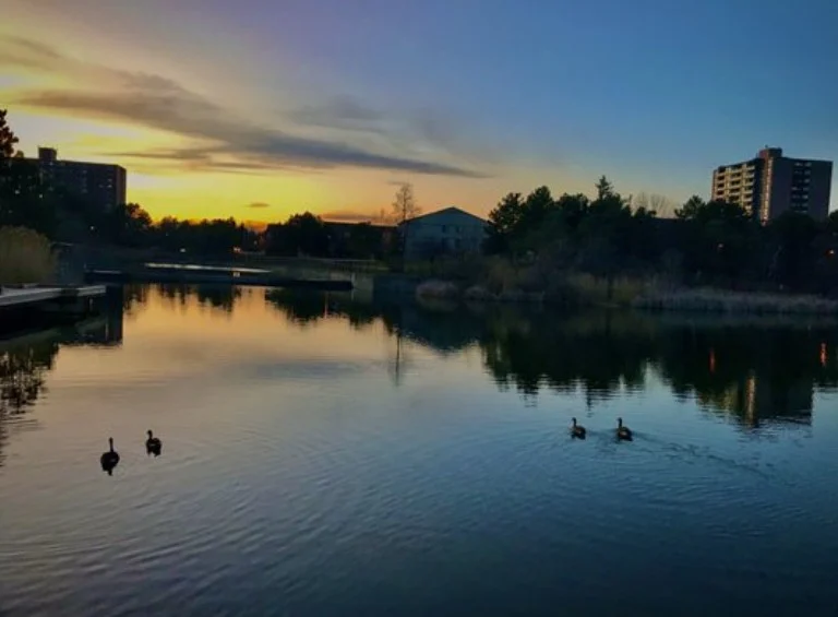 Lake Aquitaine park