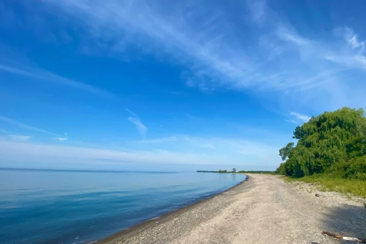 darlington provincial park