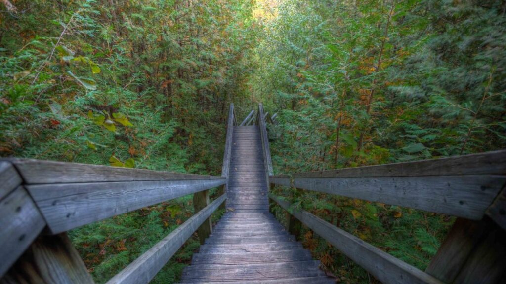 Heber Down Conservation Area