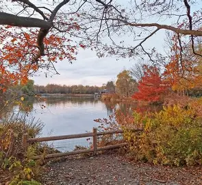 togood park markham